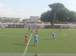 Napoli-Vicenza 2-2