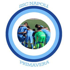 Logo Fan Page Napoli Primavera